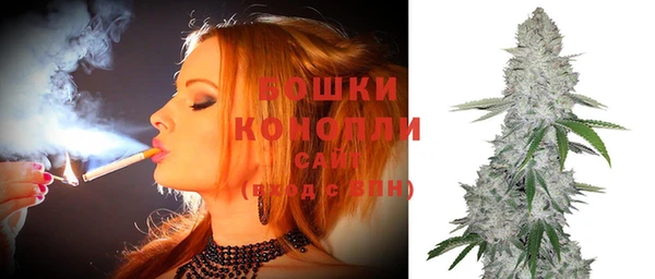 мдпв Надым