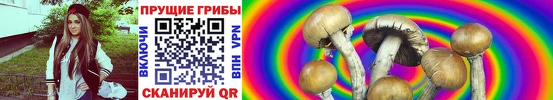 Галлюциногенные грибы GOLDEN TEACHER  гидра как войти  Кстово 