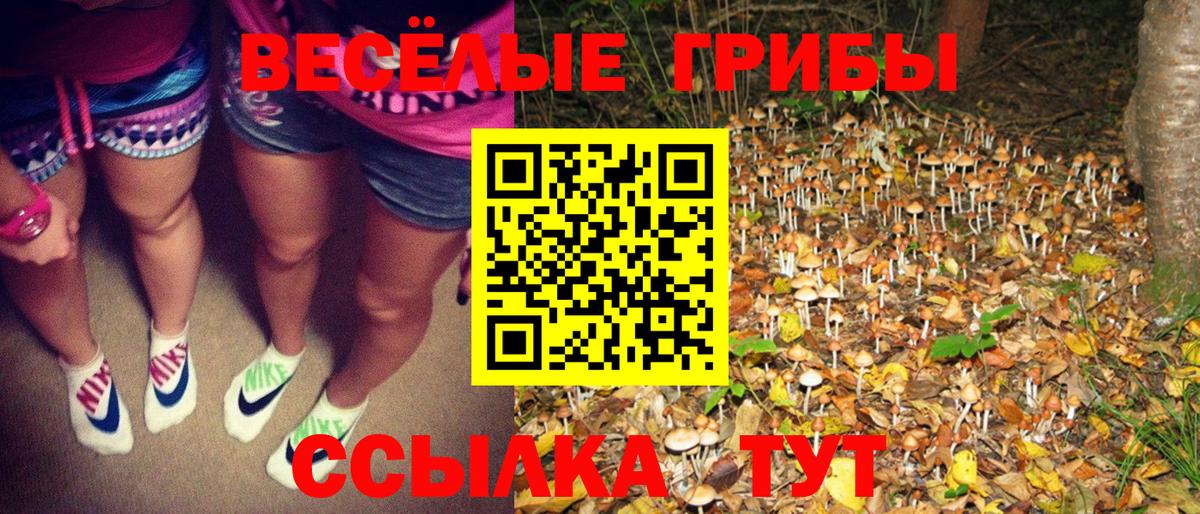 Галлюциногенные грибы Cubensis  Кстово  где купить наркоту  Галлюциногенные грибы MAGIC MUSHROOMS 