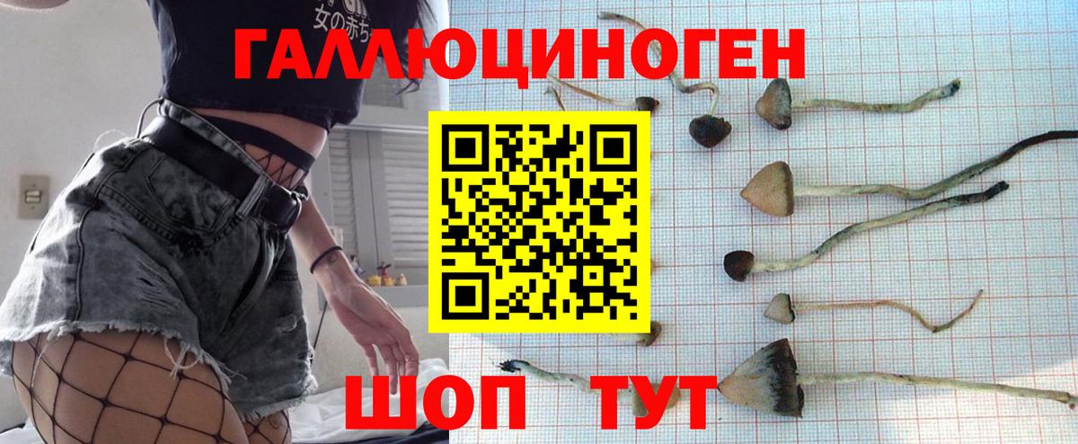 Галлюциногенные грибы MAGIC MUSHROOMS  Вход с VPN  Кстово 