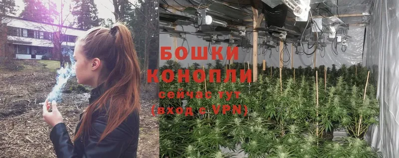 МЕГА онион  Кстово  Канабис White Widow 